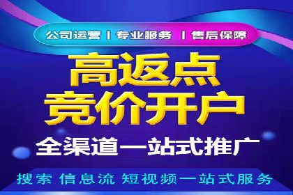 SEM主管如何运用AI技术提升广告效果——案例研究